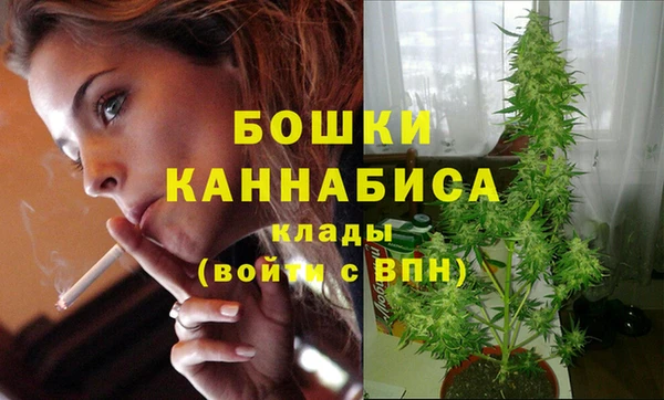 ГАЛЛЮЦИНОГЕННЫЕ ГРИБЫ Дубна