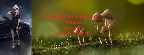 бошки Дрезна