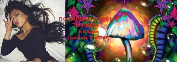 бошки Дрезна