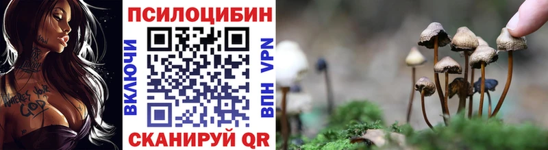 Галлюциногенные грибы GOLDEN TEACHER  закладки  Заинск 
