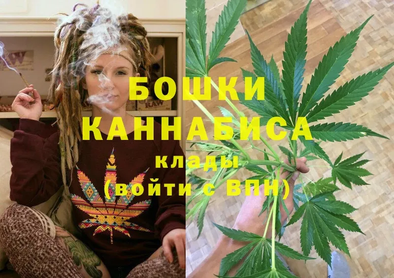 купить наркотики сайты  MEGA как войти  Бошки марихуана SATIVA & INDICA  Заинск 